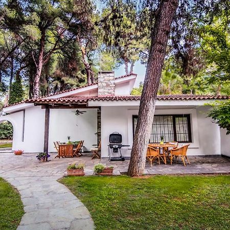 Beautiful Holiday Villa In Sani Sani  ภายนอก รูปภาพ