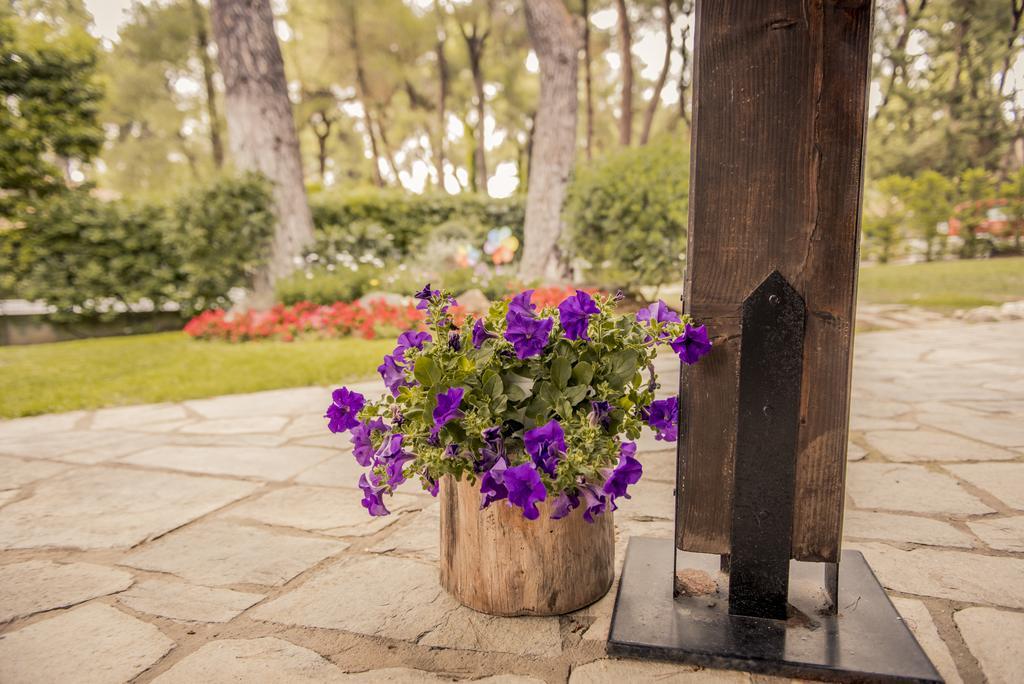 Beautiful Holiday Villa In Sani Sani  ภายนอก รูปภาพ